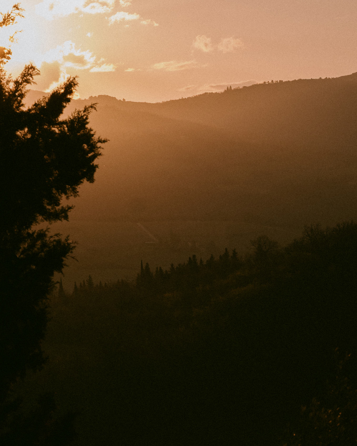 D.A.T.E. SNEAKERS D.A.T.E. SNEAKERS